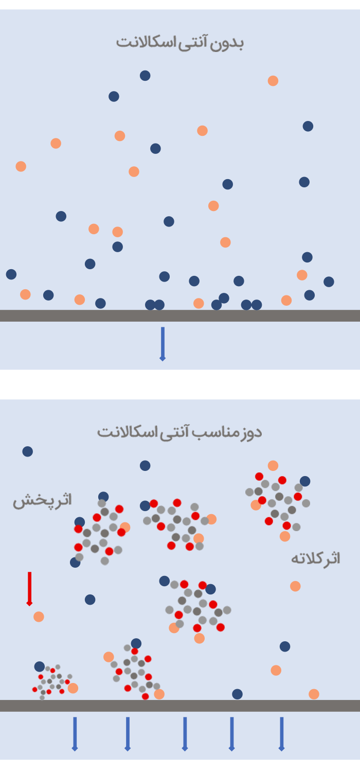 دوز تزریق آنتی اسکالانت در سیستم های اسمز معکوس دوز تزریق آنتی اسکالانت در سیستم های اسمز معکوس