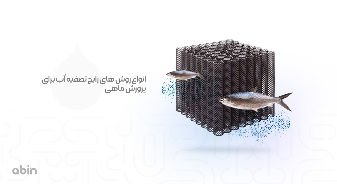 انواع روش های رایج تصفیه آب برای پرورش ماهی