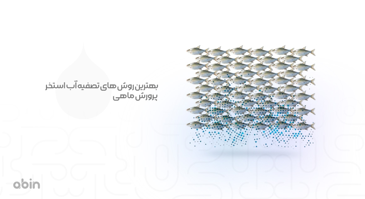 بهترین روش های تصفیه آب استخر پرورش ماهی
