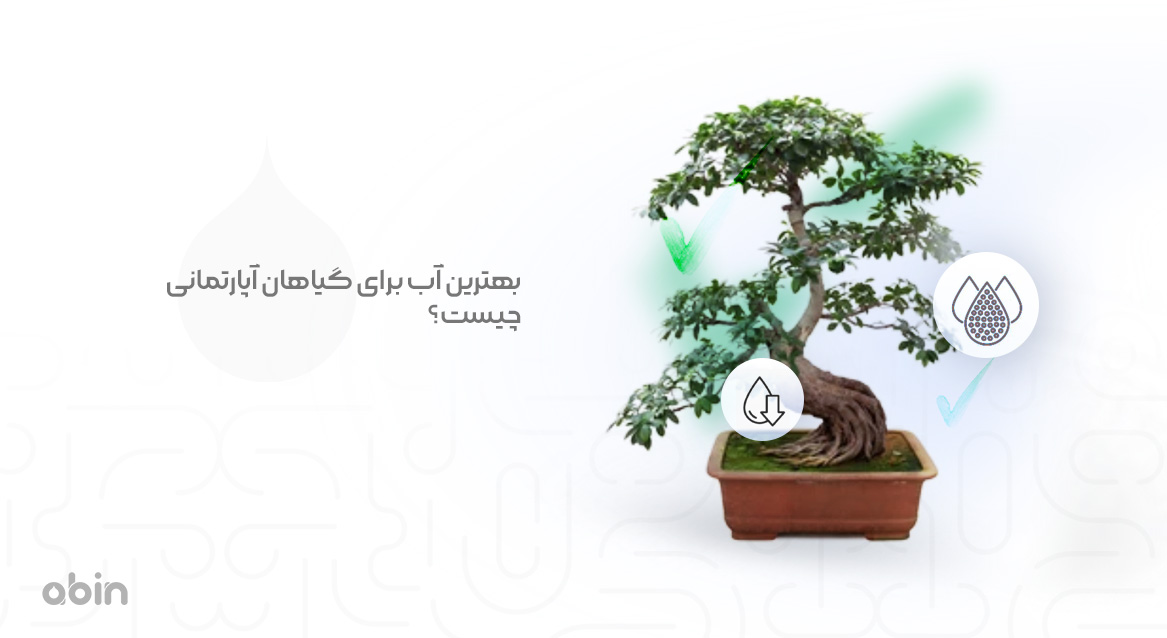 بهترین آب برای گیاهان آپارتمانی چیست؟