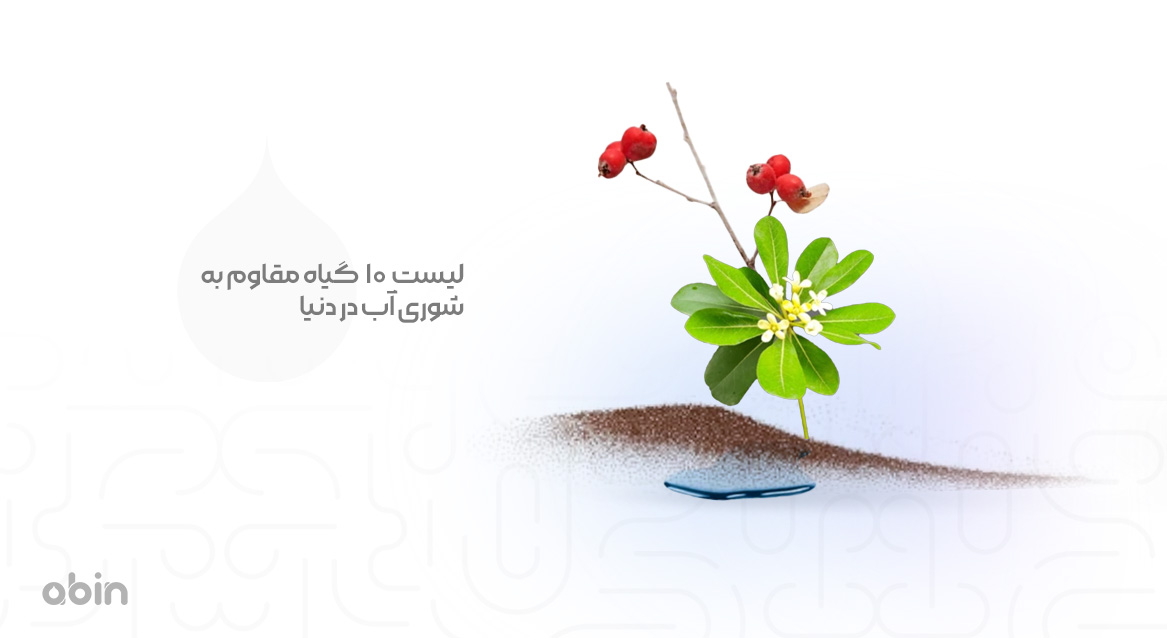 لیست 10 گیاه مقاوم به شوری آب در دنیا