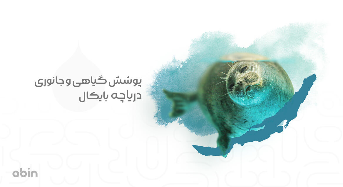 پوشش گیاهی و جانوری دریاچه بایکال