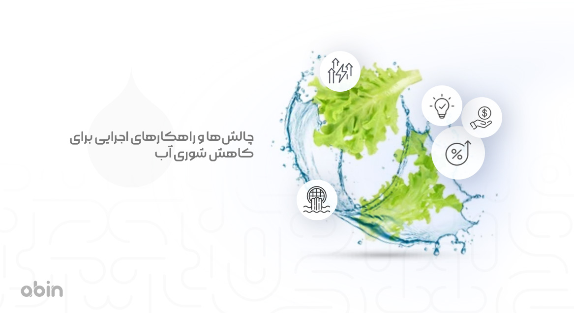 چالش‌ ها و راهکارهای اجرایی برای کاهش شوری آب