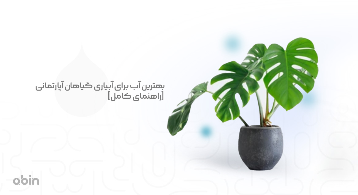 مشخصات کیفی بهترین آب برای آبیاری گیاهان آپارتمانی