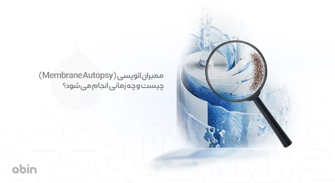 تصویر نمادین ممبران اتوپسی