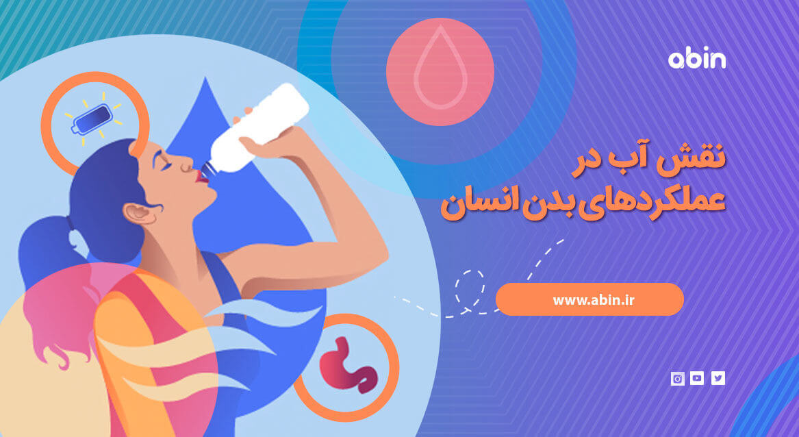 طرح گرافیکی نقش آب در عملکردهای بدن انسان