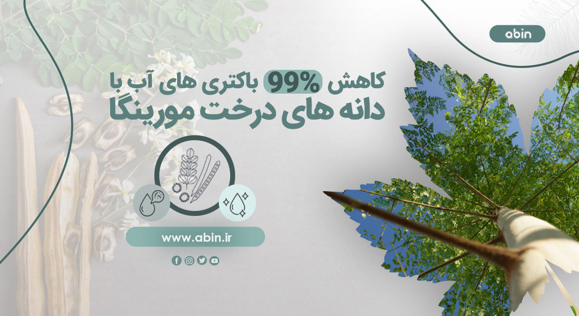 تصفیه آب با دانه درختان 
