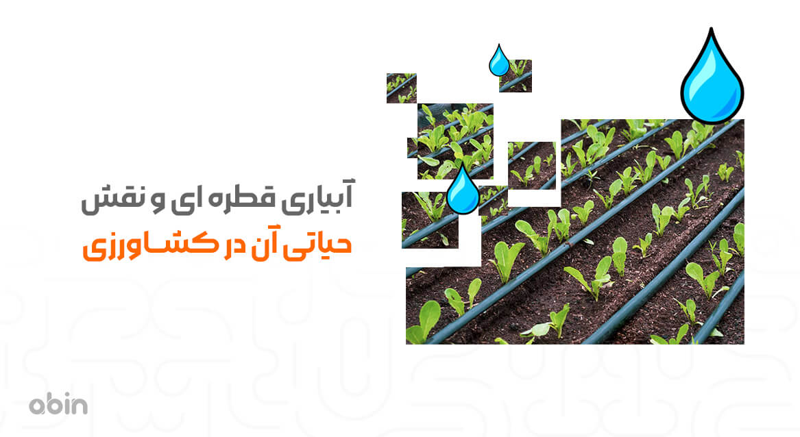 آبیاری قطره‌ ای در کشاورزی
