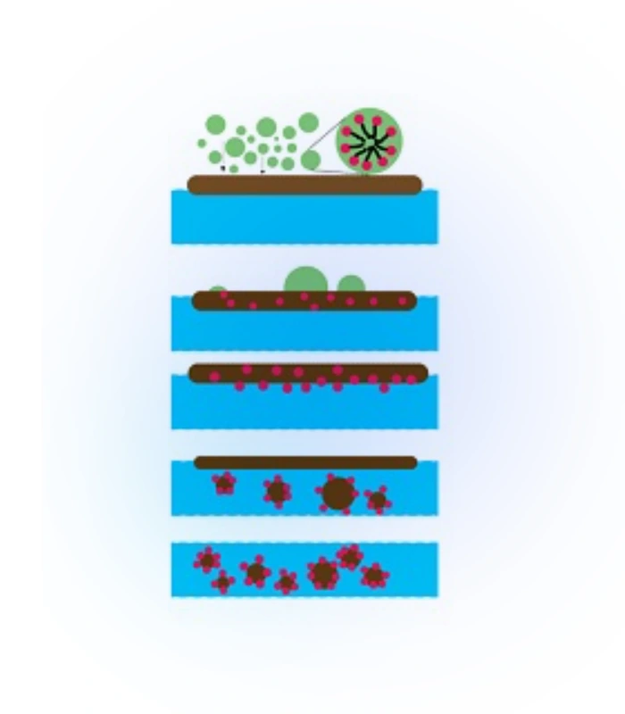 مکانیزم رسوب زدایی و عملکرد آنتی اسکالانت ها به چه صورت است؟