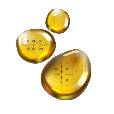 بر اساس پایه