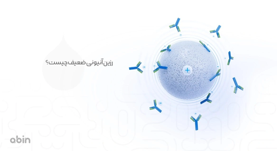تصویر گرافیکی رزین آنیونی ضعیف