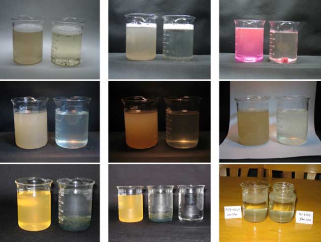 پلی الکترولیت (Polyelectrolyte) یا فلوکولانت
