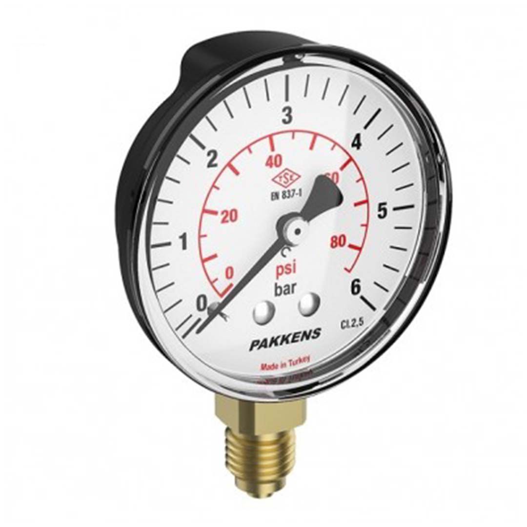 نمای زاویه ای گیج فشار خشک PAKKENS 6 بار با صفحه 10 سانت و اتصال رزوه ای