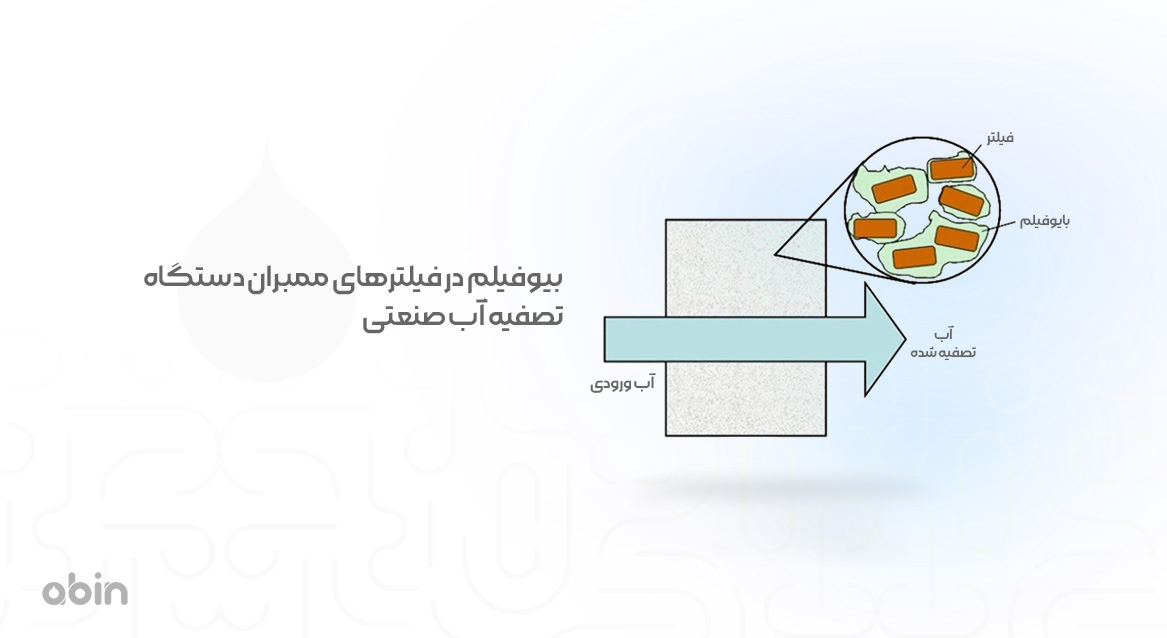 اینفوگرافیک بیوفیلم در فیلترهای ممبران دستگاه تصفیه آب صنعتی