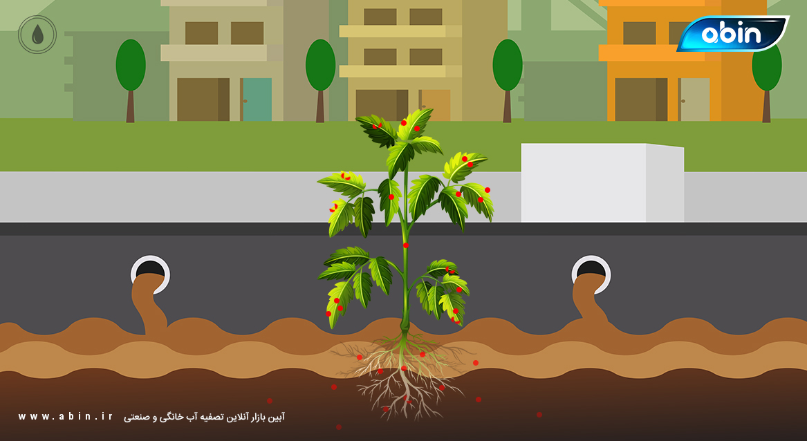 تصویر گرافیکی گیاه پالایی پساب های صنعتی