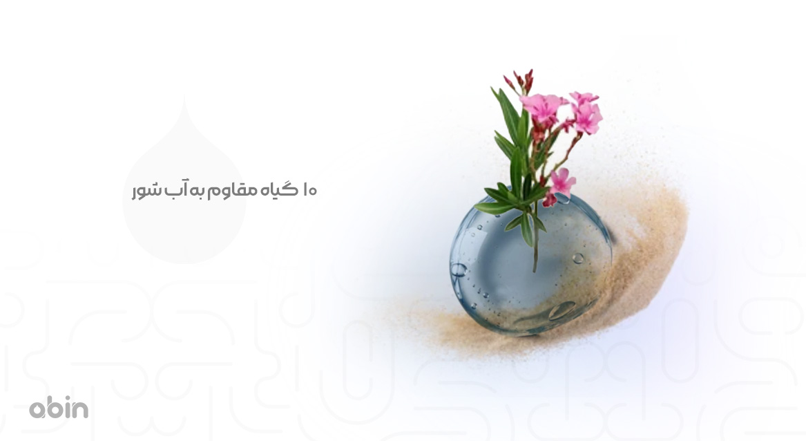 تصویر گیاه مقاوم به آب شور