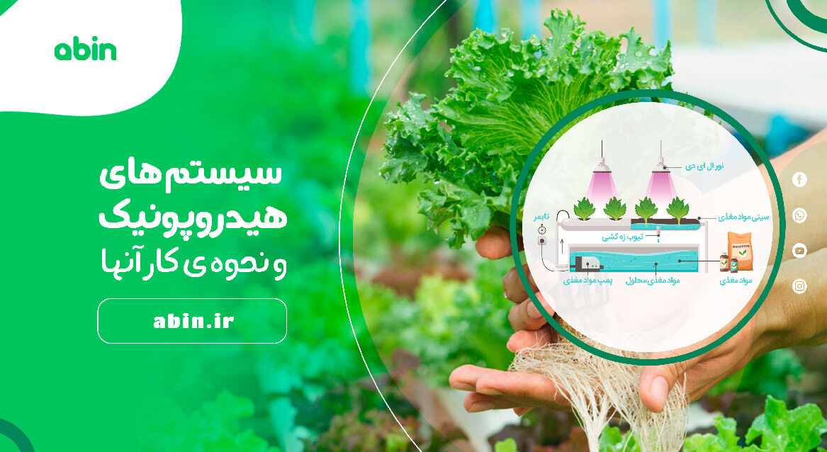 عکس آموزشی سیستم های هیدروپونیک و نحوه کار آن ها 