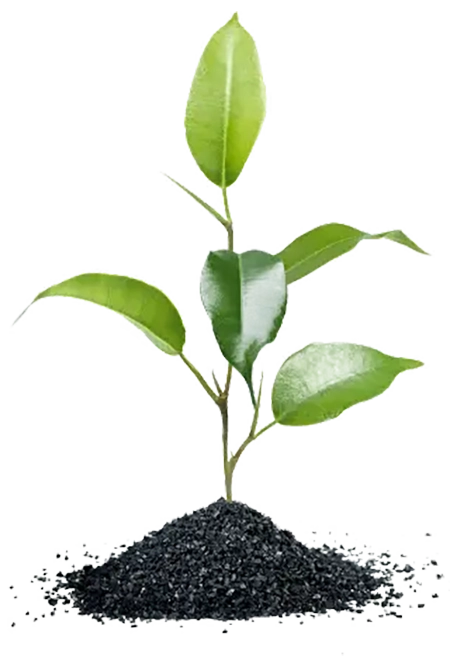 کربن اکتیو بر پایه گیاهی