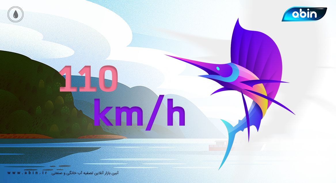 تصویر گرافیکی سریع ترین آبزیان جهان