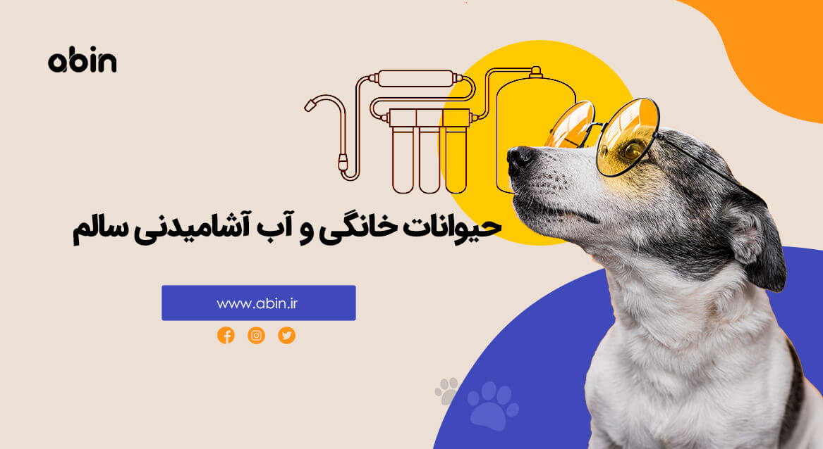 آب آشامیدنی سالم برای حیوانات خانگی