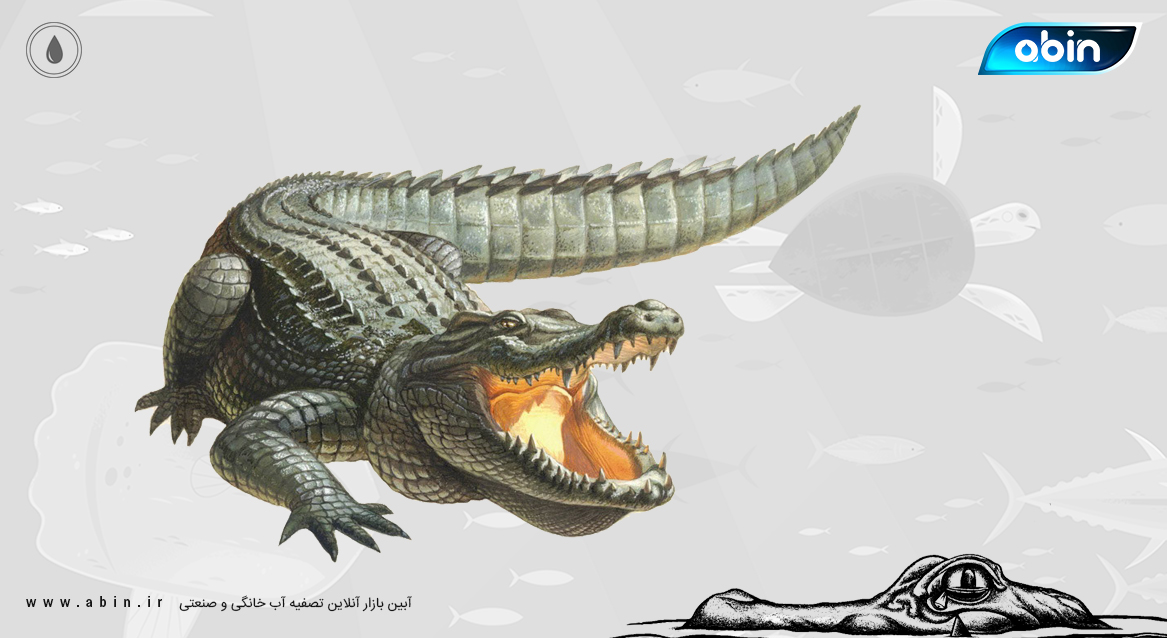 کروکودیل